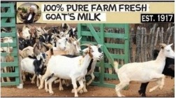  Handmade Soap Farm Fresh Goat's and Buttermilk Soap