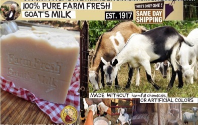  North Carolina  local farm milk
