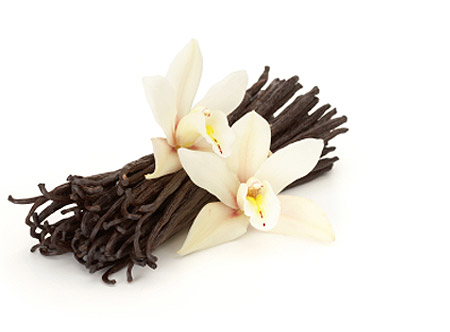 Vanilla essential oil benefits  Essential oils herbs, Vanilla